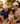 Family in a park wearing the SJ Gives The Trevor Project Edition hats with a child holding a Fueled by Love cup.