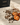 Close-up of Stephen James Andean Bloom light roast coffee beans with dried persimmon slices and dried flowers on travertine