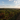 Lush coffee plantation landscape in Brazil's highland coffee growing region with ripe red cherries at sunset