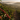 Coffee growing region in Zambia's Northern Province near Kasama, source of Stephen James Zambia Light Roast beans